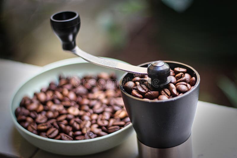 Roasted Coffee Beans and a Coffee Grinder Stock Image Image of baking