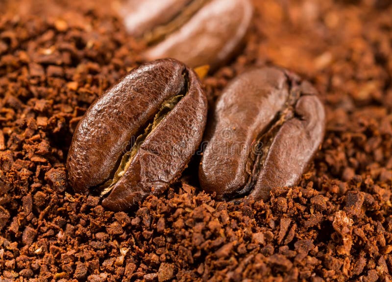 Roasted coffee beans stock photo. Image of roasted, studio 36882508