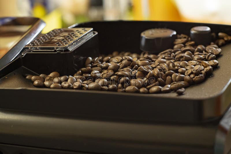 Roasted Coffee Beans in a Coffee Machine Container, Closeup Stock