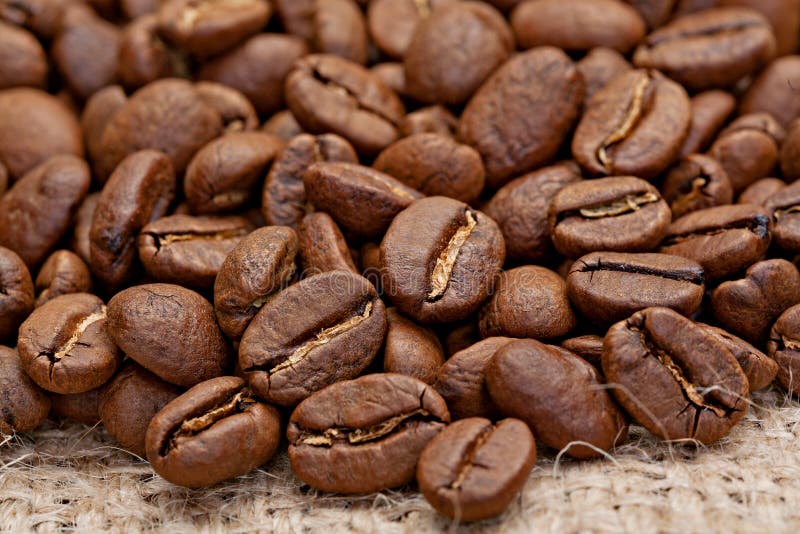 Roasted and Not Roasted Coffee Beans on the Sacking Stock Photo Image