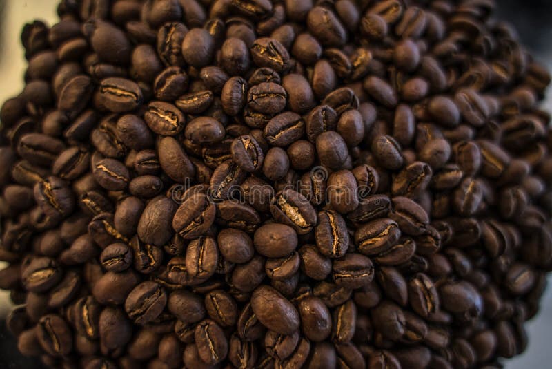 Roasted Coffee Beans Texture Closeup Macro Ingredient Cooking
