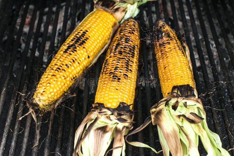 Roasted corn on the grill stock image. Image of food 138017951