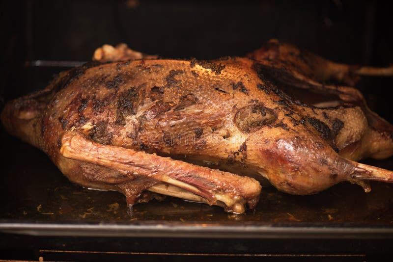 Roasted goose stock image. Image of fresh, holiday, organic 57586781