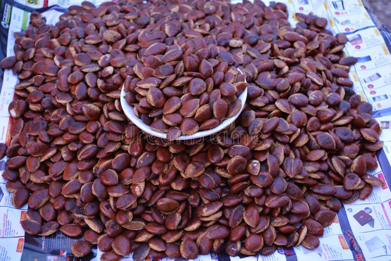 Roasted Kayu seeds or Irvingia malayana royalty free stock image Roasted Kayu seeds or Irvingia malayana royalty free stock image