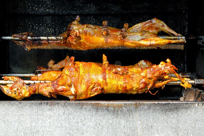 Roasted lambs