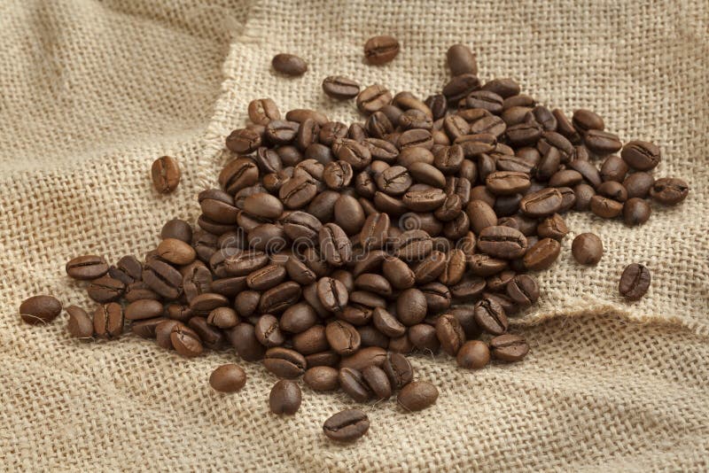 Roasted Malabar Coffee Beans Stock Image Image of seeds, beans 59709667