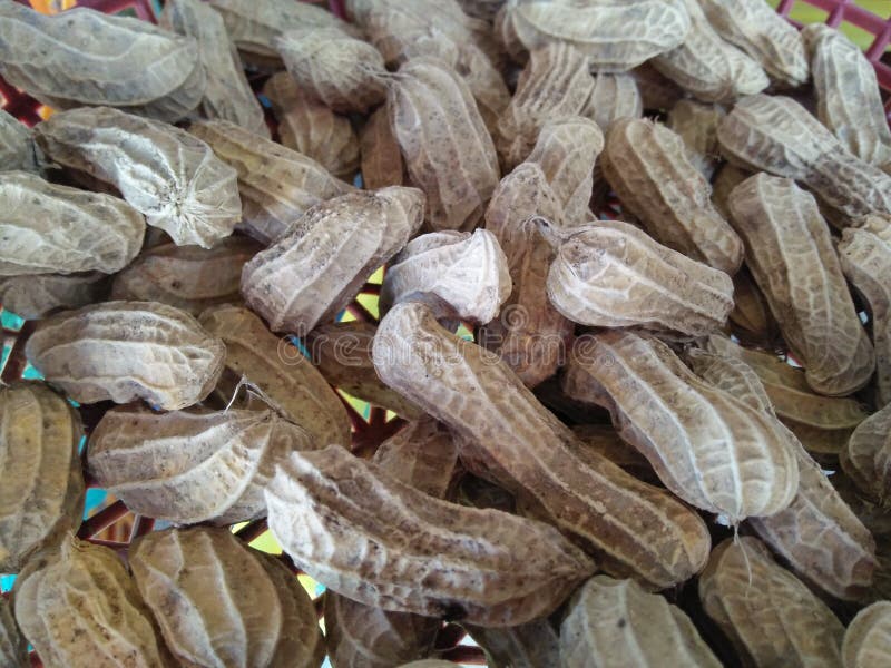 Roasted peanuts. stock image. Image of butter, yummy 95418477
