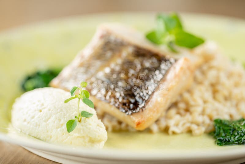 Roasted pike perch or cod fish with bulgur. Dish decorated with a spinach. Restaurant menu royalty free stock photography