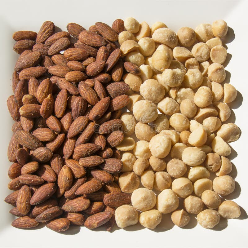 Roasted and Salted Almonds and Macadamia Nuts Stock Photo Image of