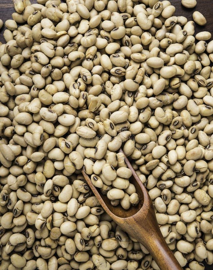 Roasted Soybeans in Wooden Spoon. Stock Image Image of diet, nature