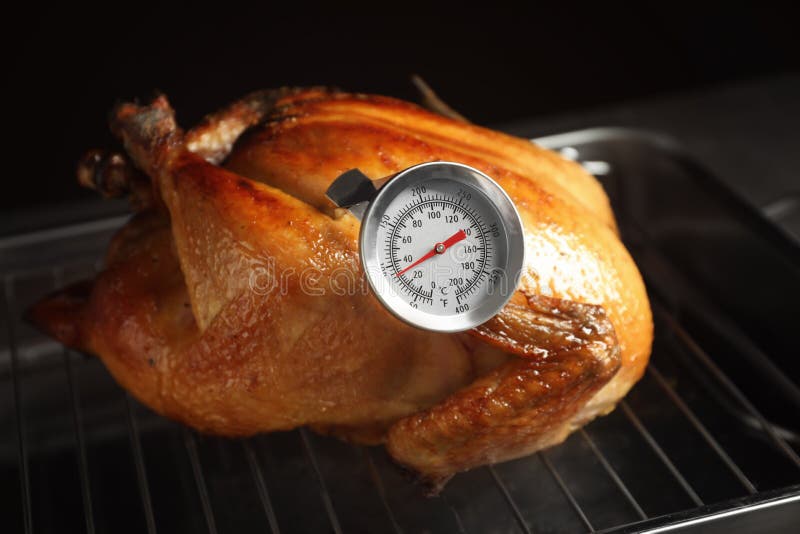 https://thumbs.dreamstime.com/b/roasted-turkey-meat-thermometer-baking-rack-149576716.jpg