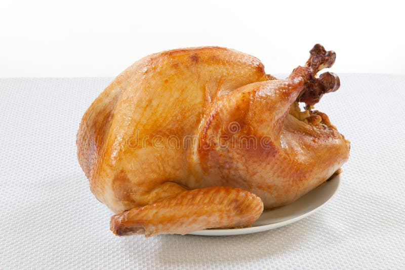 Roasted Turkey on white