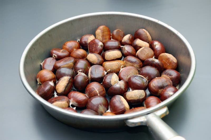 https://thumbs.dreamstime.com/b/roasting-chestnut-16731031.jpg