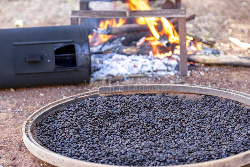 Roasting Coffee the Old Farm Way, Manual Roaster, Wood Fire Stock Photo