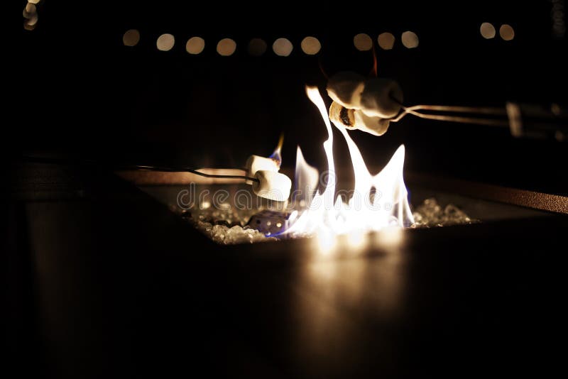 Roasting Marshmallows Over Fire Stock Images Download 218 Royalty