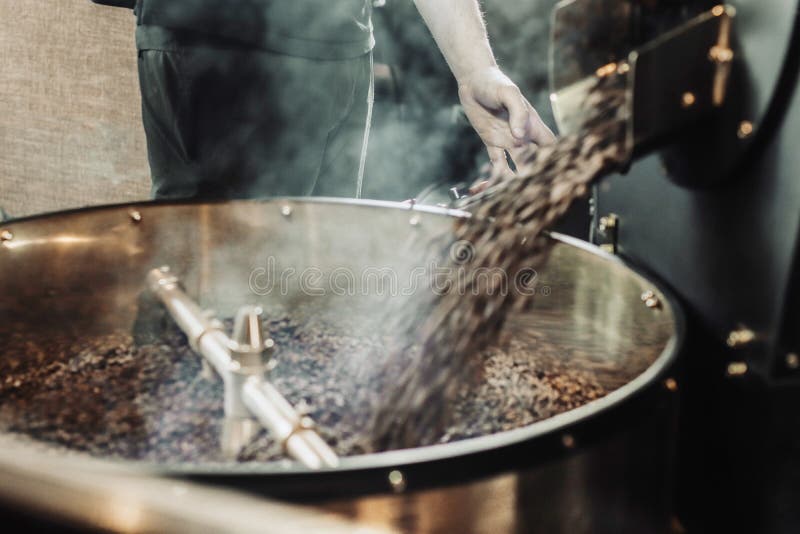 Man Pouring Coffee Beans into the Roaster Machine. Roasting Process of