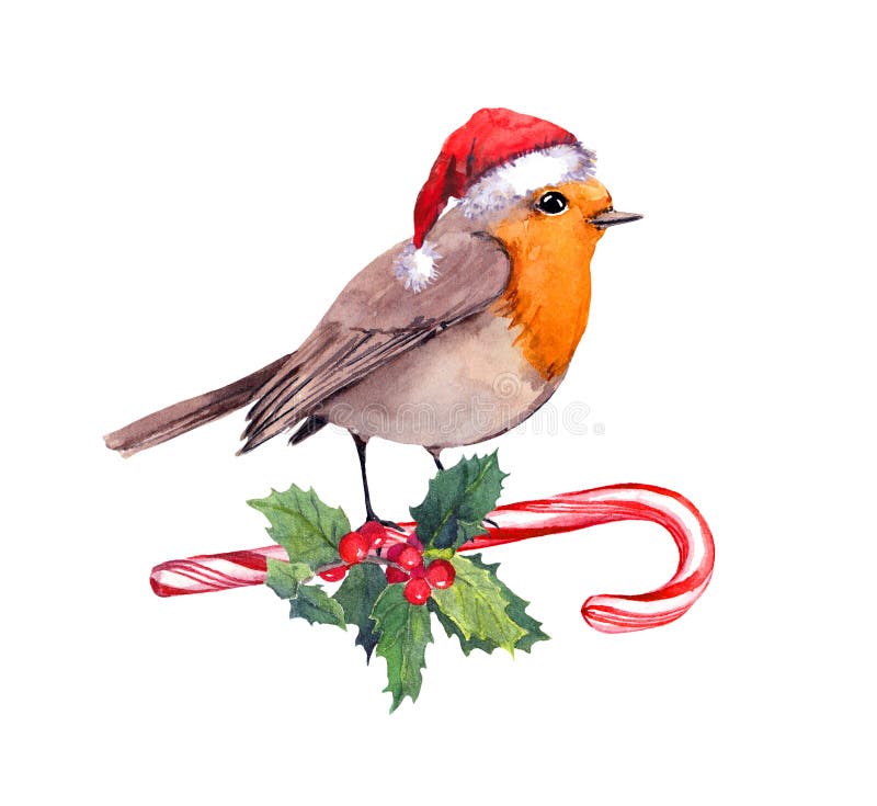Robin Bird in Red Santa Hat on Candy Cane and Xmas Mistletoe. Card for Christmas Stock Illustration Illustration of lollipop, character: 127588290