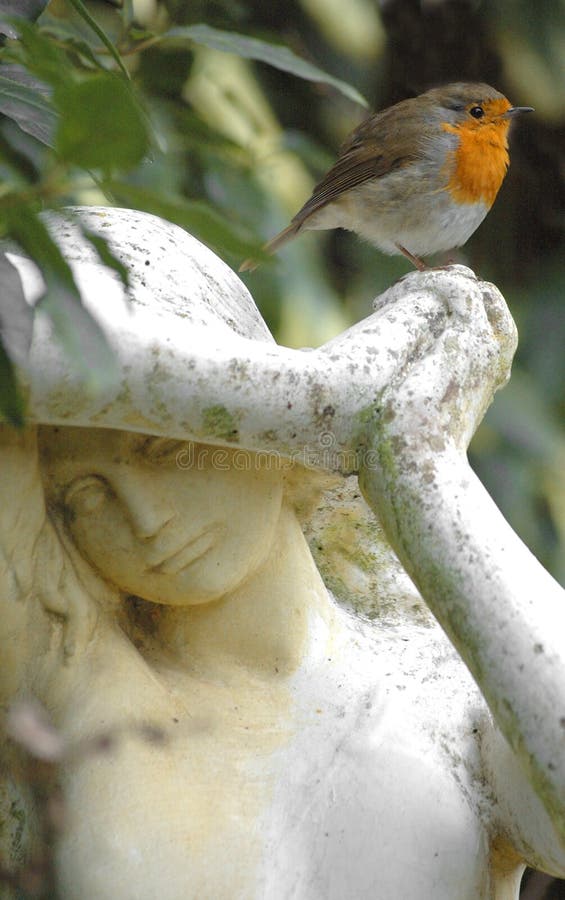 Robin and statue