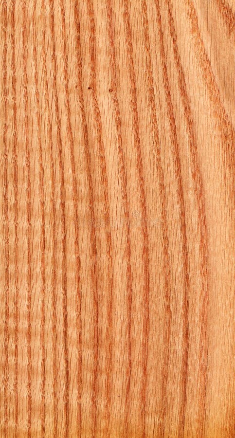 Roble ucraniano rojo (textura de madera) imagen de archivo libre de regalías Roble ucraniano rojo (textura de madera) imagen de archivo libre de regalías