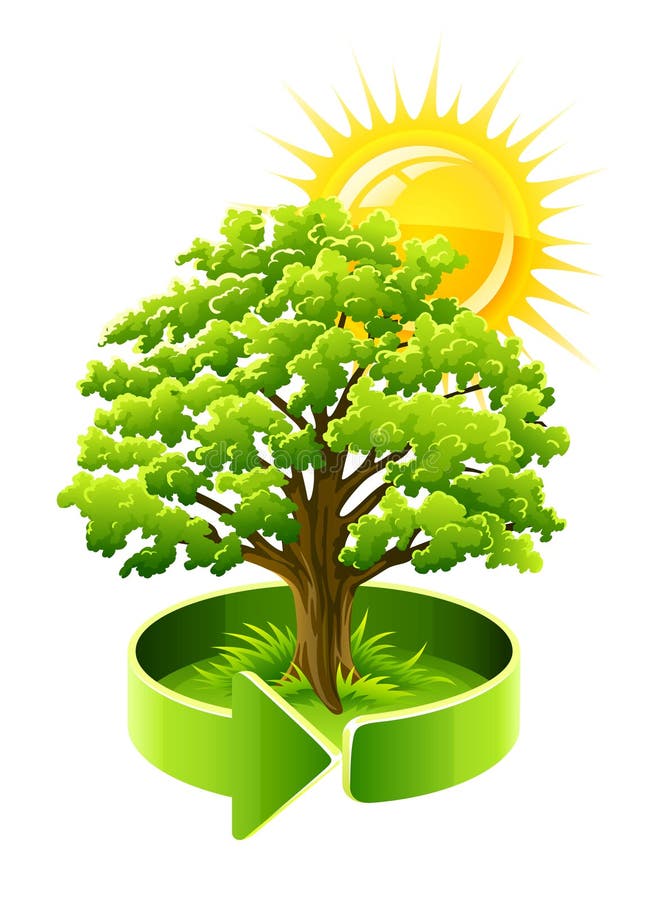 Roble verde del árbol como símbolo de la ecología