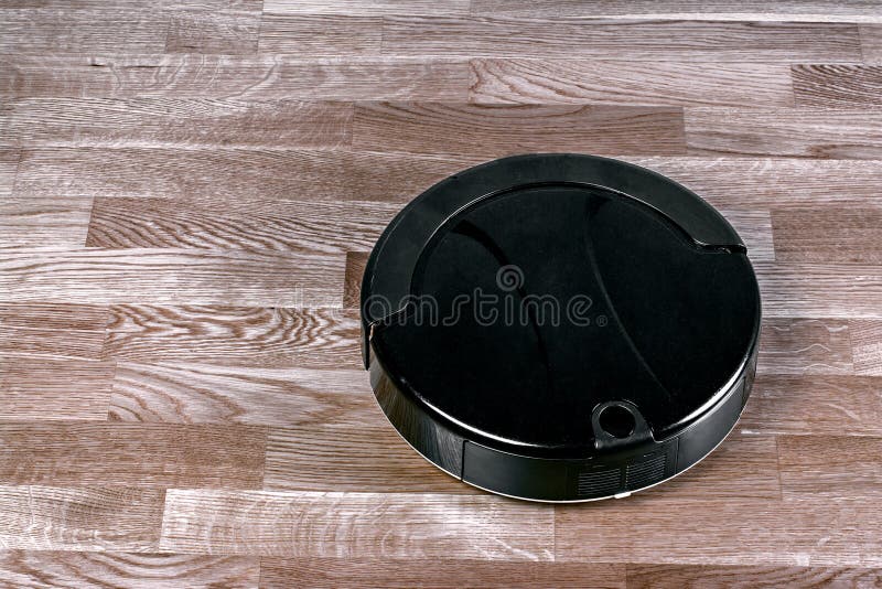 Robotic Vacuum Cleaner Controlled by Voice Commands for Direct Cleaning