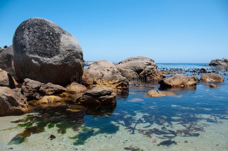 Rocks and Seaweed near Camps Bay in Cape Town, South Africa. Rocks and Seaweed near Camps Bay in Cape Town, South Africa.