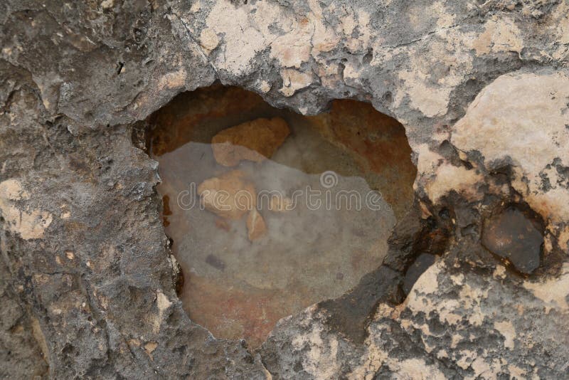 Roches en forme de coeur de chaux avec des usines photo libre de droits Roches en forme de coeur de chaux avec des usines photo libre de droits