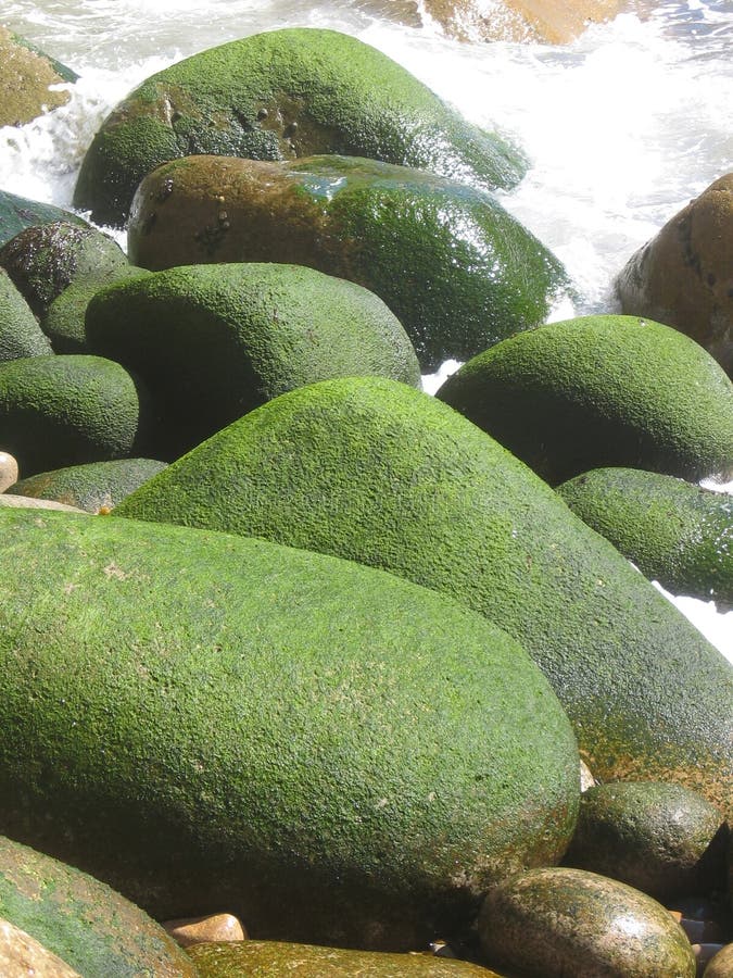 Mossy rocks on a beach near Cabo da Roca, Portugal. Mossy rocks on a beach near Cabo da Roca, Portugal.