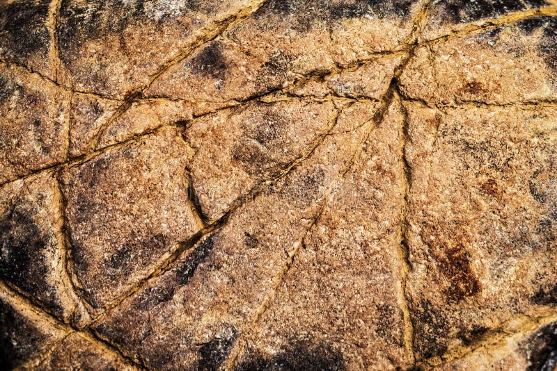 Roches ocres de sable de texture abstraite image stock Roches ocres de sable de texture abstraite image stock