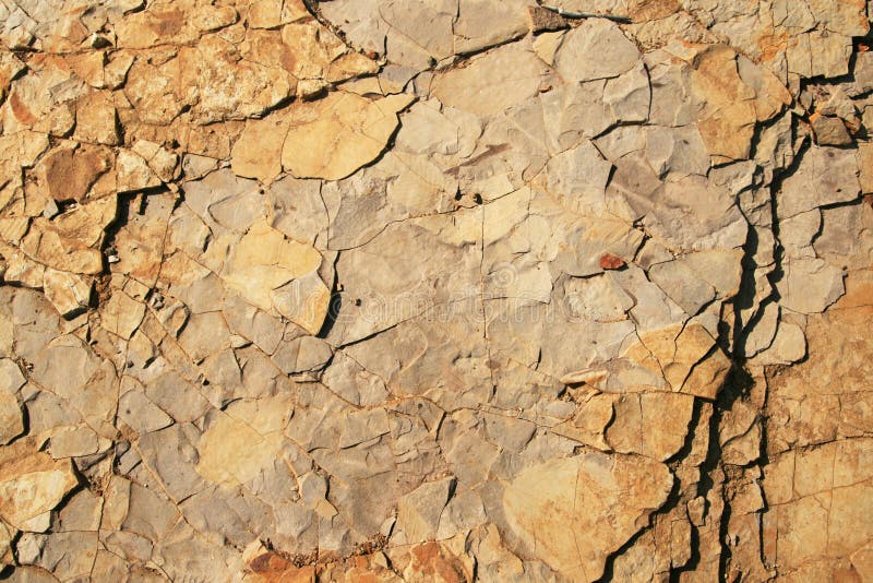 Rock background with fossils stock photography
