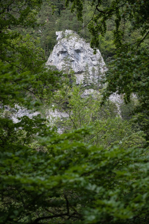 Rock called `Janosikova skala` in Kvacianska valley, Liptov region, Slovakia