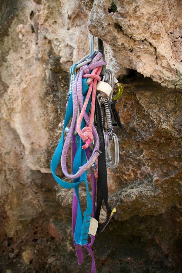 Gym Gears Hanging on a Wall. Weight Plates, Curl Bar Etc Stock Image