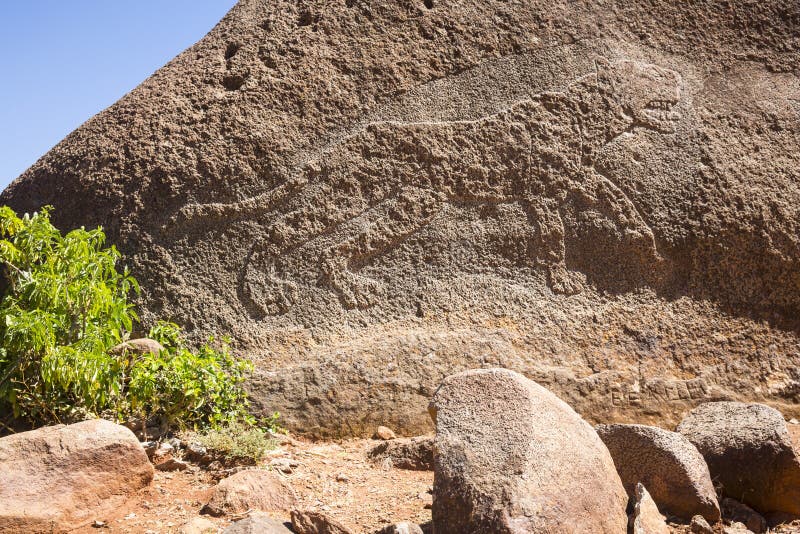 Rock drawing of lioness