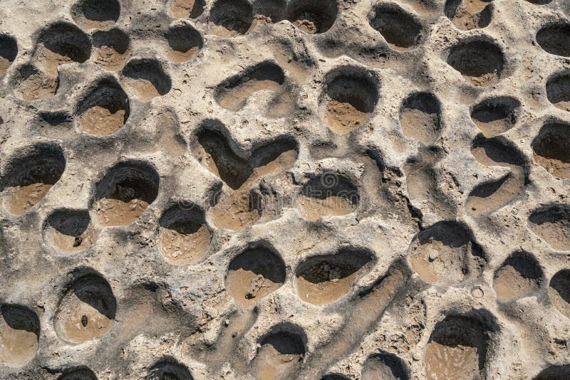 Rock erosion holes on sea beach royalty free stock photography Rock erosion holes on sea beach royalty free stock photography