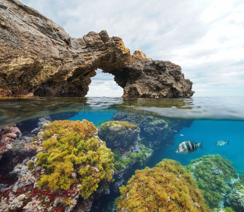 Rock formation natural arch with algae and fish underwater