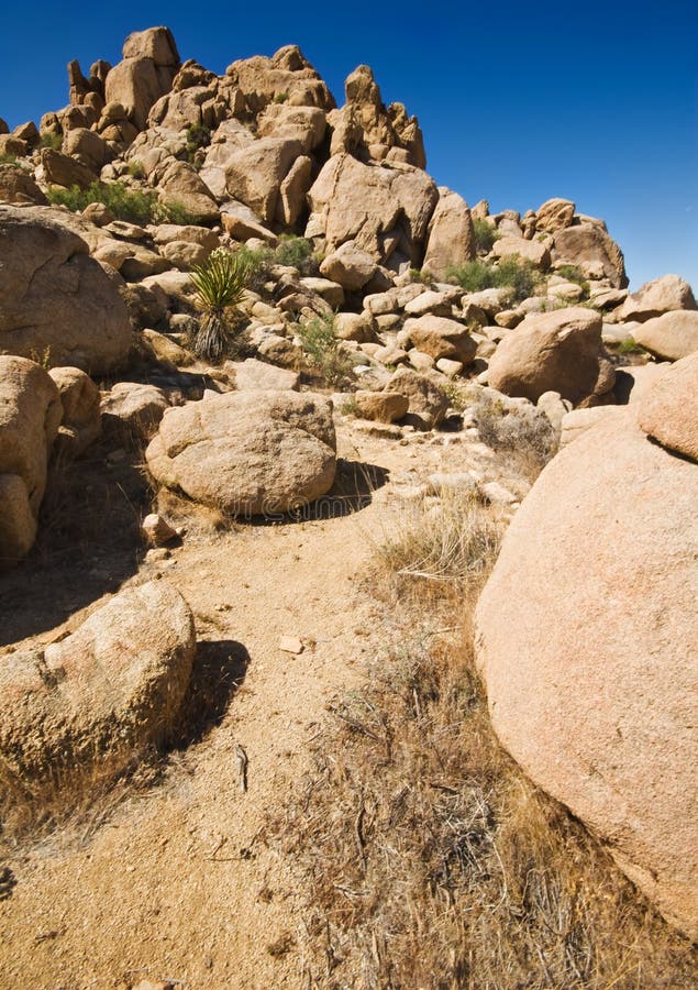 Rock Formations, Joshua Tree National Park Stock Image - Image of plant ...