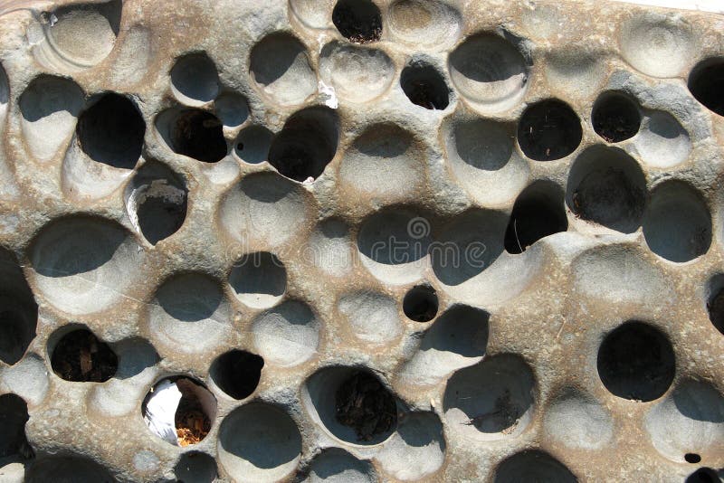 Rock With Little Holes Picture. Image 84955256