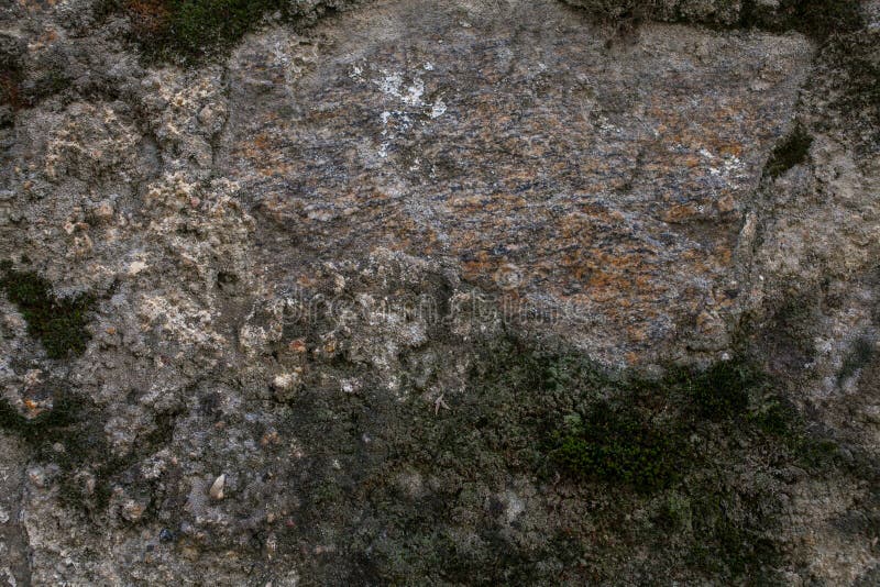 Rock and Moss Texture and Background. Mossy Stone Background. Abstract ...