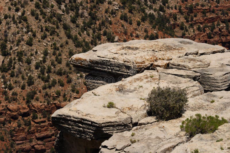 Rock Outcrop