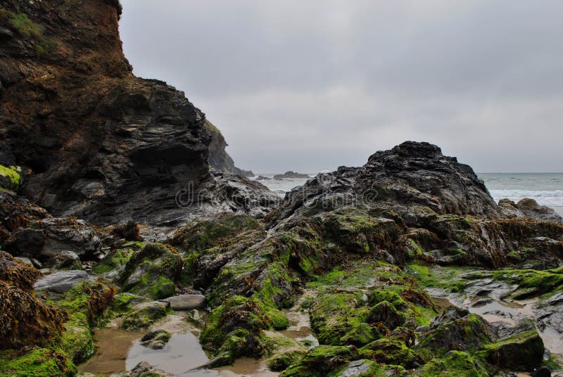 Rock pools and seaweed