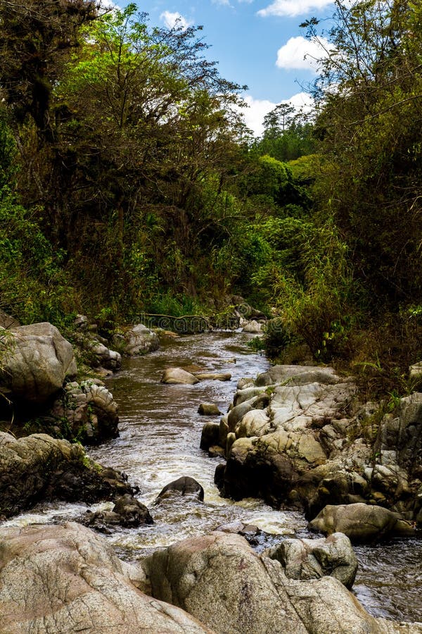 Rock river stock image. Image of meditation, green, fall 37988977