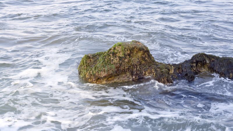 Rock in the sea