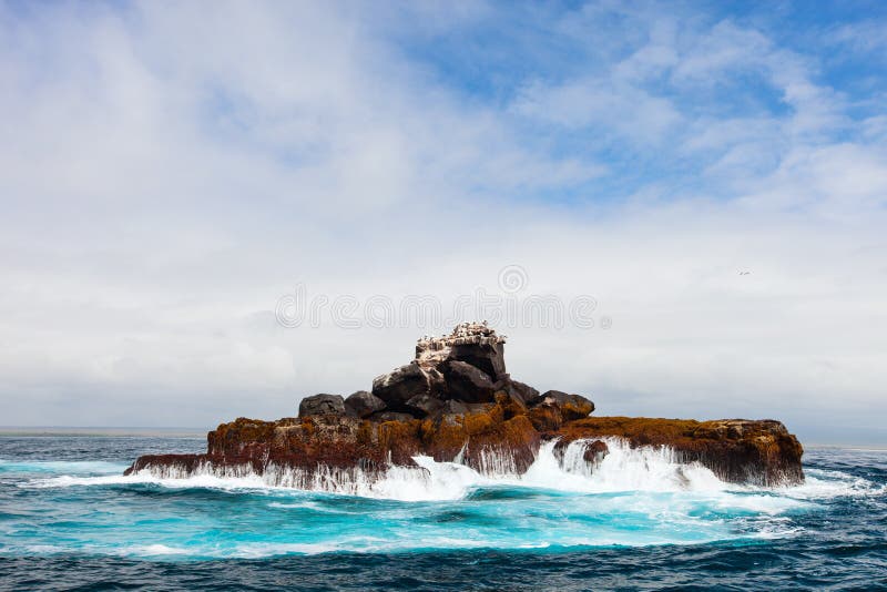 Rock with sea birds