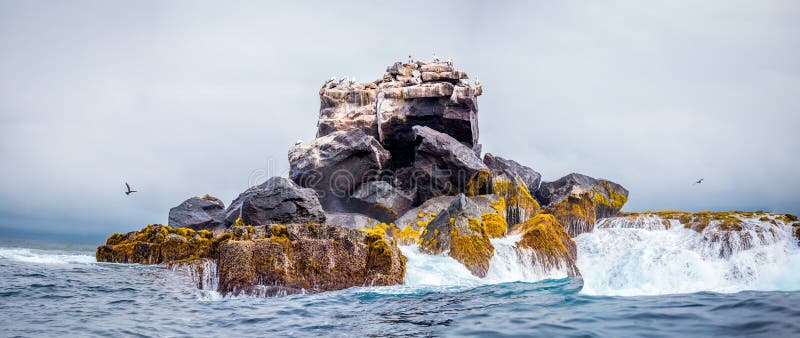 Rock in the sea with storm and animal on it , Galapagos