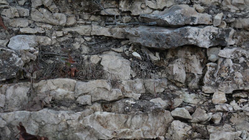 Rock wall on a forest path