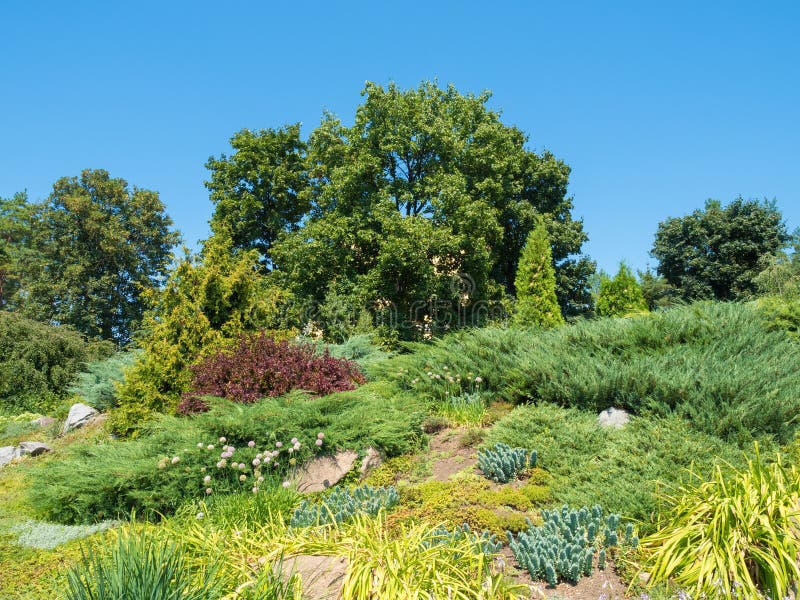 Rockery stock image. Image of footpath, purple, frontage 58722657