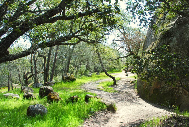 Rocks & Boulders