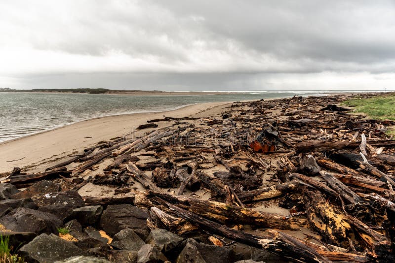 The rocks and driftwood in the Siletz Bay along the Oregon coast, OR, US