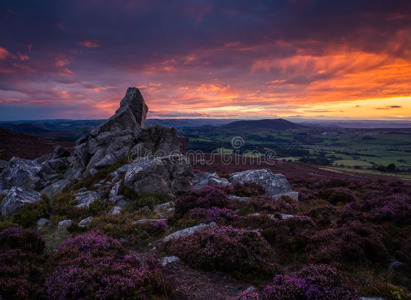 Rocks and heather, Corndon hill from the Stiperstones, Shropshire at sunset royalty free stock photo Rocks and heather, Corndon hill from the Stiperstones, Shropshire at sunset royalty free stock photo
