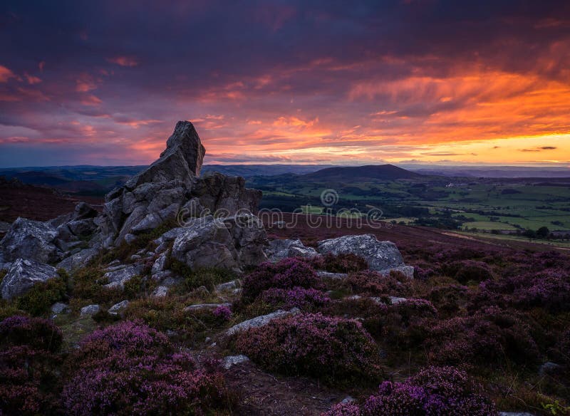 Rocks and heather, Corndon hill from the Stiperstones, Shropshire at sunset